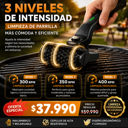 Cepillo De Limpieza De Parrilla Recargable